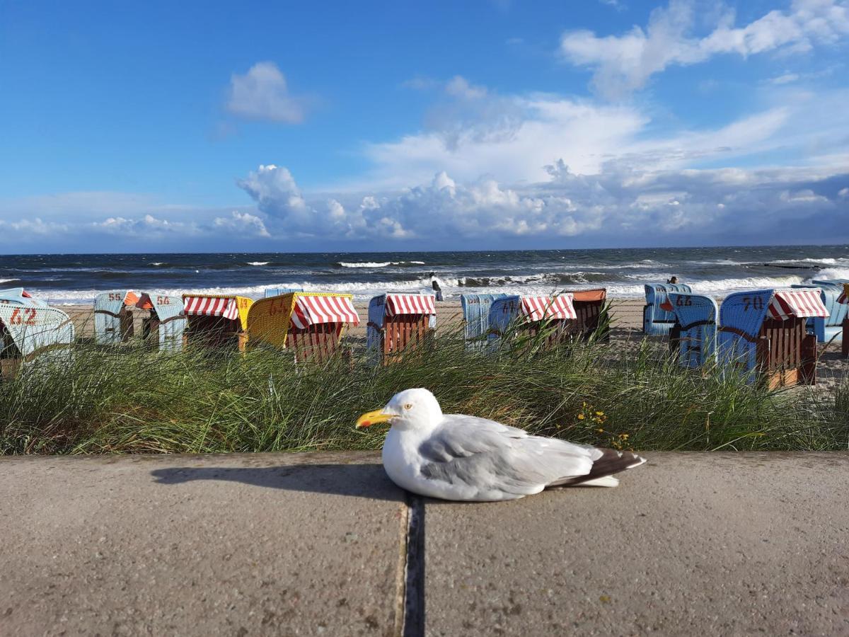 Ferienwohnung MeerGlück in der Ostseeresidenz Gandarm Wischuer Exterior foto